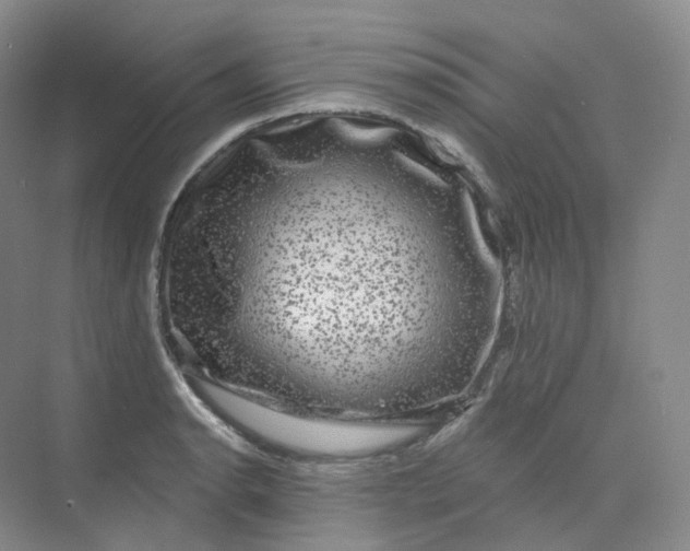 X0000075901134200609291725