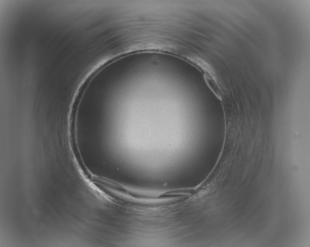 X0000075901135200609291725