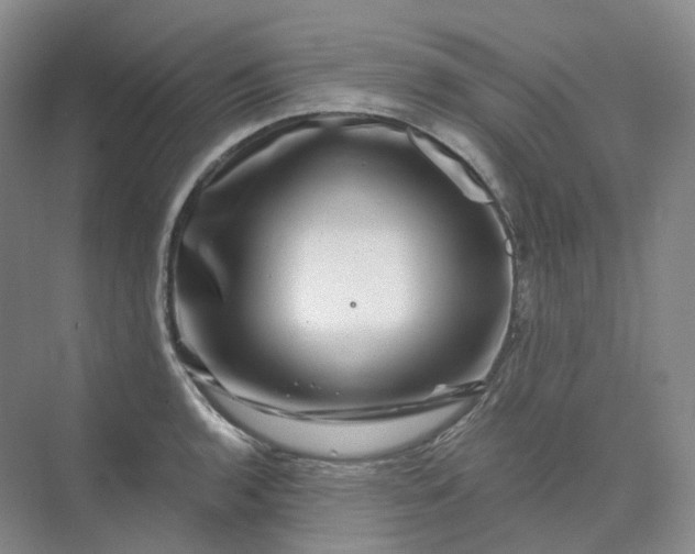 X0000075901136200609291725