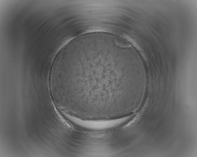 X0000075901137200609291725