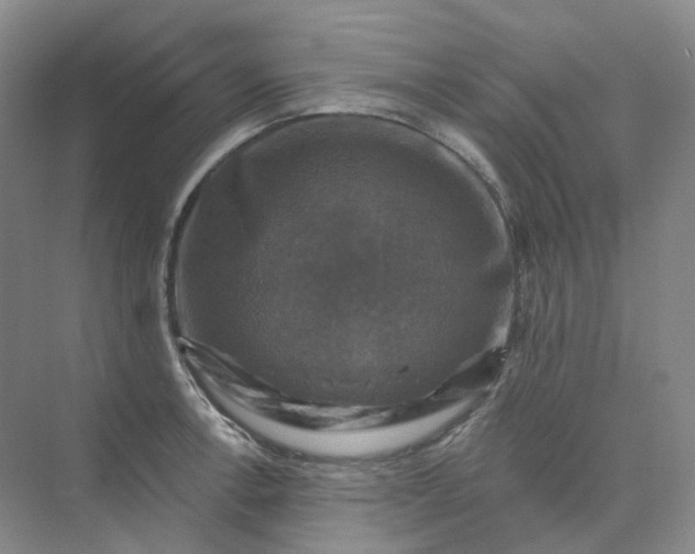 X0000075901138200609291725