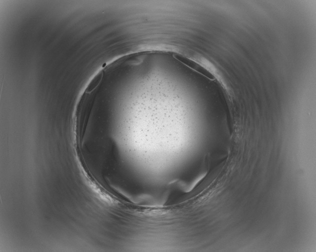 X0000075901140200609291725