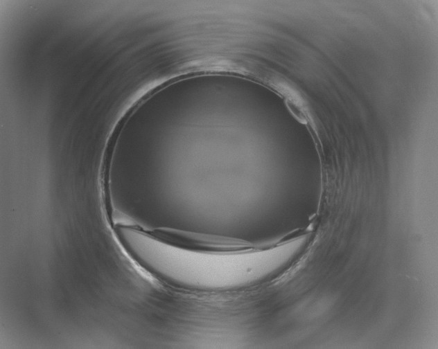 X0000075901141200609291725