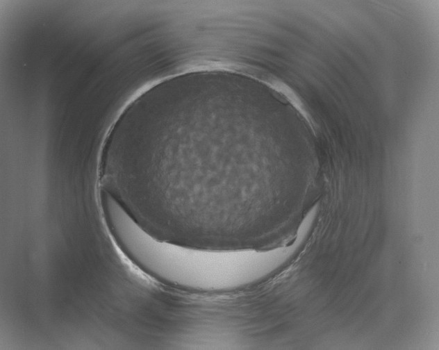 X0000075901143200609291725