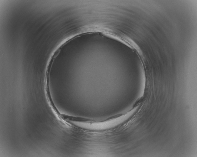 X0000075901144200609291725