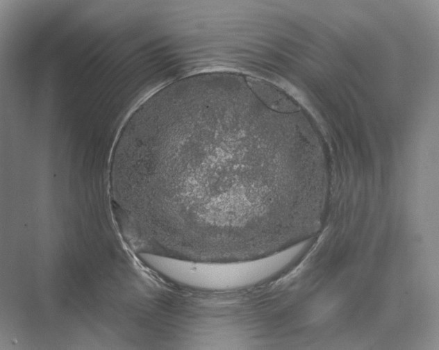 X0000075901145200609291725