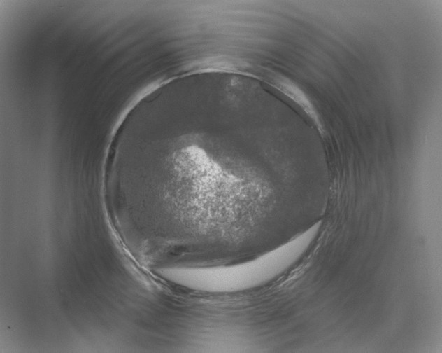 X0000075901146200609291725