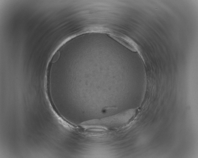 X0000075901147200609291725