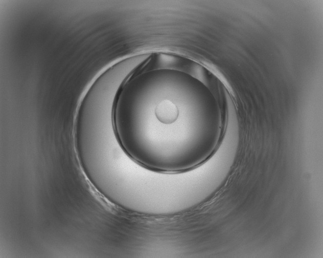 X0000075901148200609291725