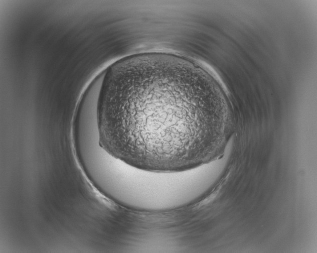 X0000075901149200609291725