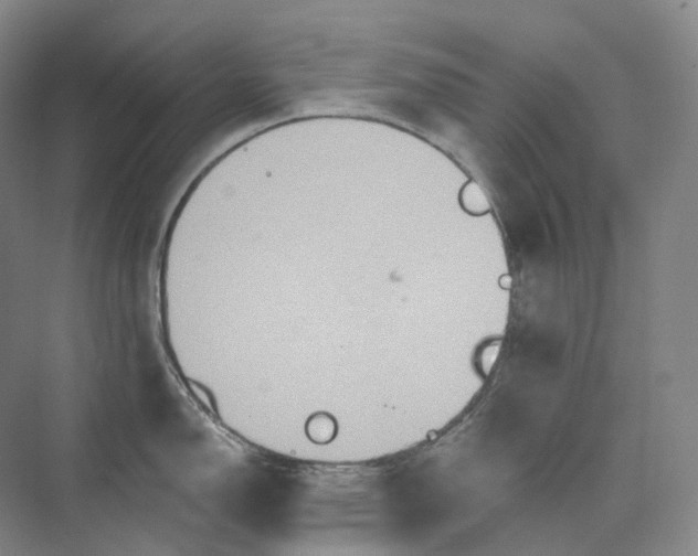 X0000075901150200609291725