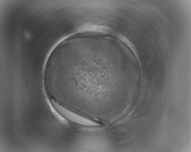 X0000075901152200609291725