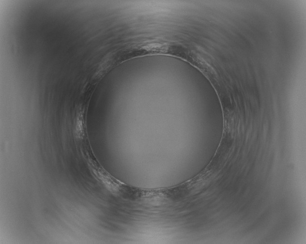 X0000075901154200609291724