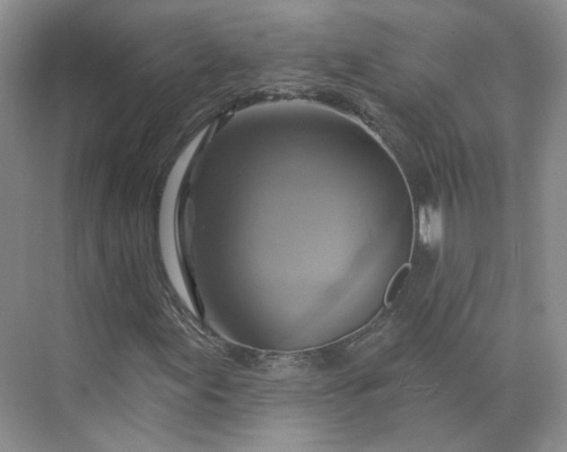 X0000075901155200609291724