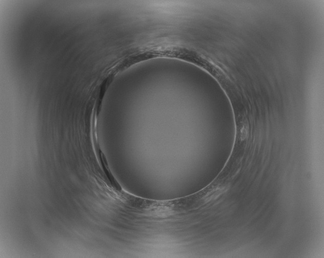 X0000075901156200609291724