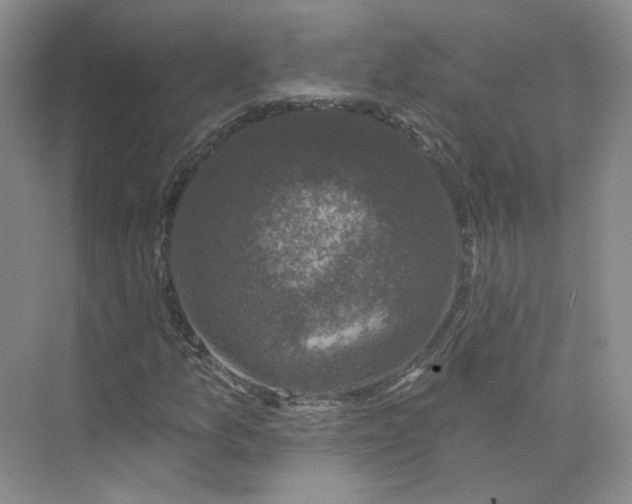 X0000075901157200609291724