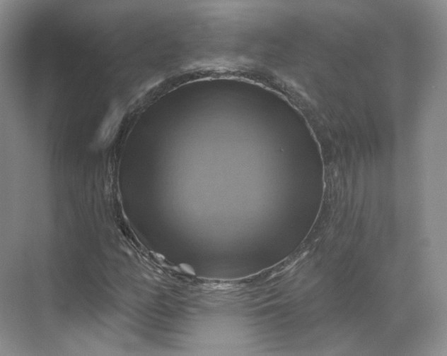 X0000075901158200609291724