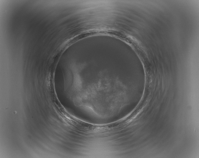 X0000075901161200609291724