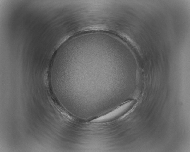 X0000075901162200609291724