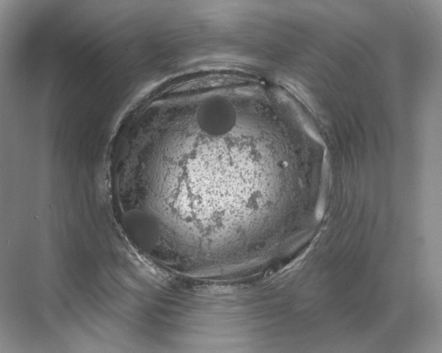 X0000075901164200609291724