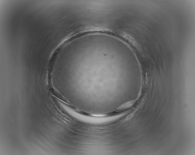 X0000075901165200609291724