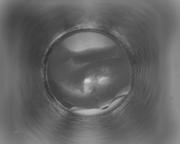 X0000075901166200609291724