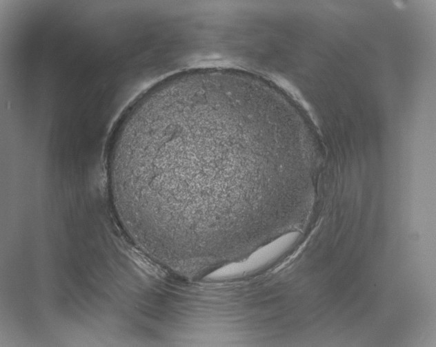 X0000075901167200609291724