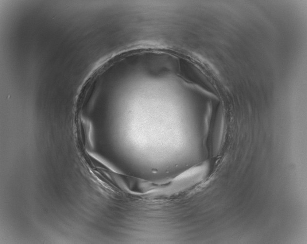 X0000075901168200609291724