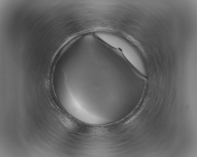 X0000075901170200609291724