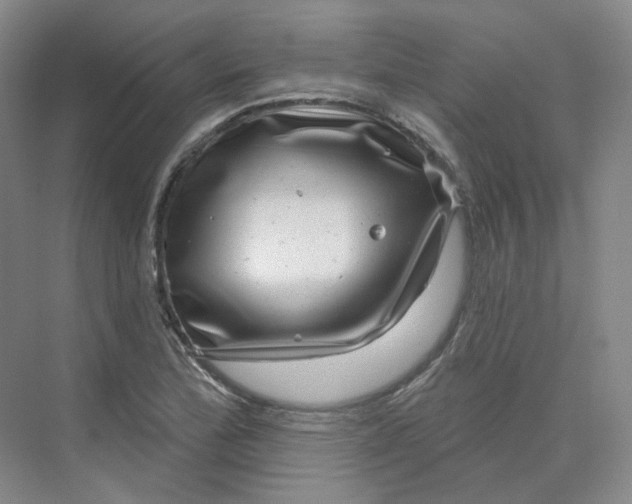 X0000075901172200609291724