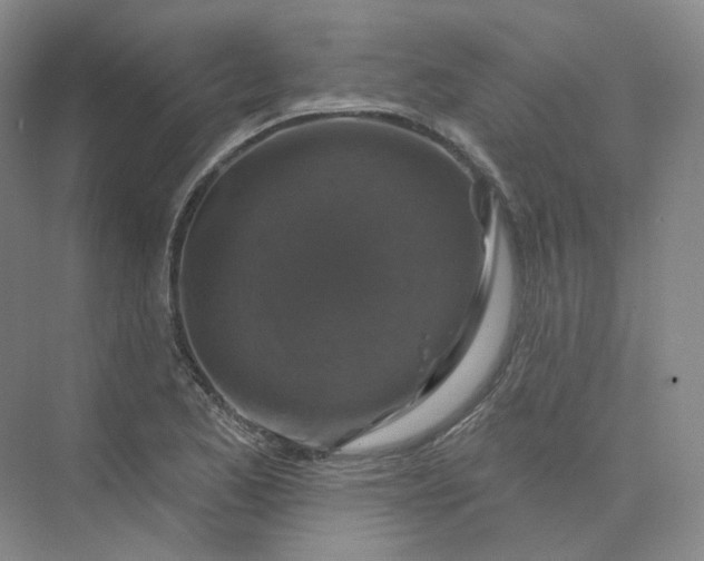 X0000075901173200609291724