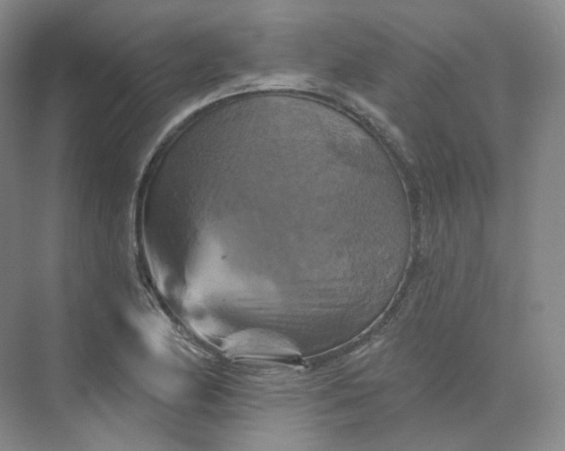 X0000075901174200609291724