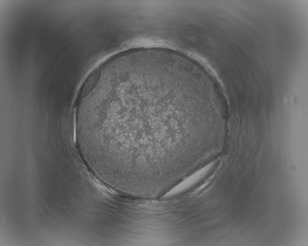 X0000075901175200609291724