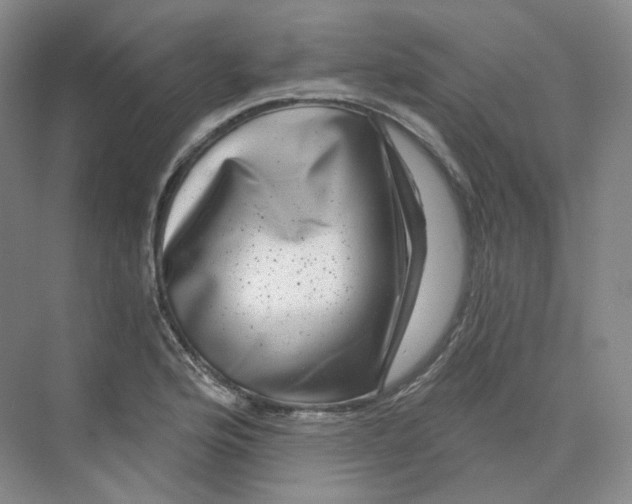 X0000075901176200609291724