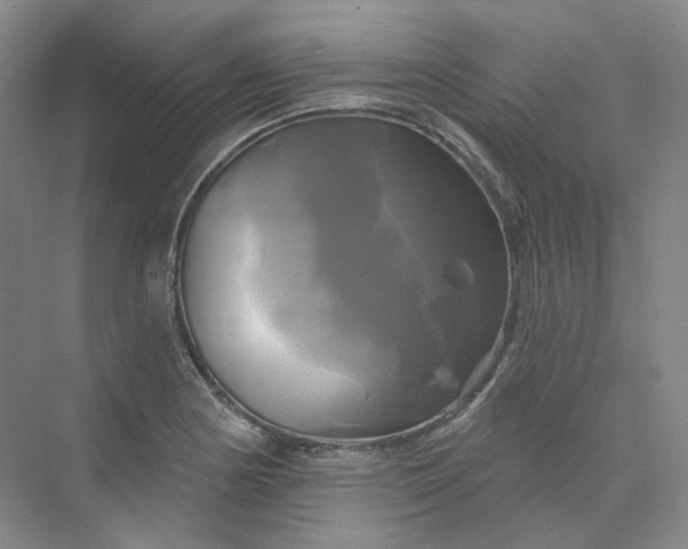 X0000075901178200609291724