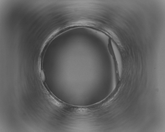 X0000075901180200609291724