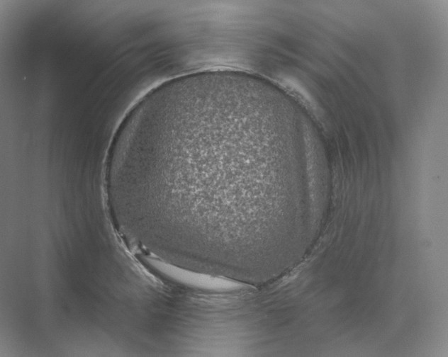 X0000075901182200609291724