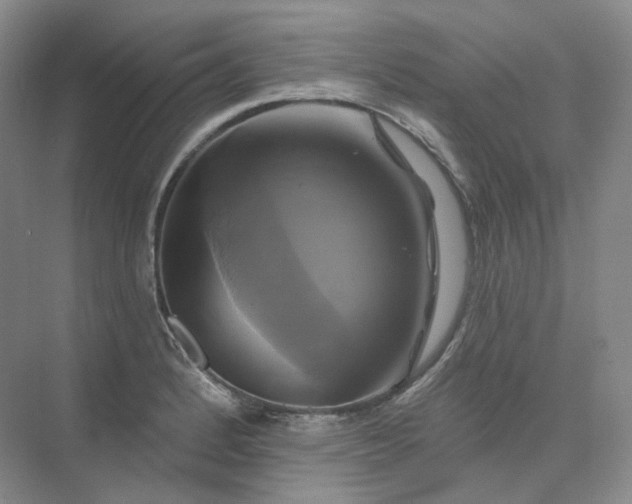 X0000075901184200609291724