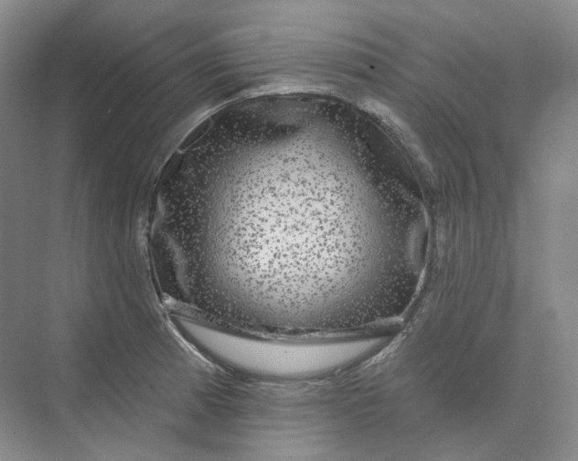 X0000075901185200609291724