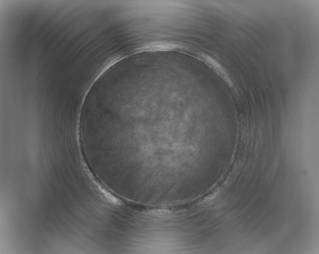 X0000075901186200609291724