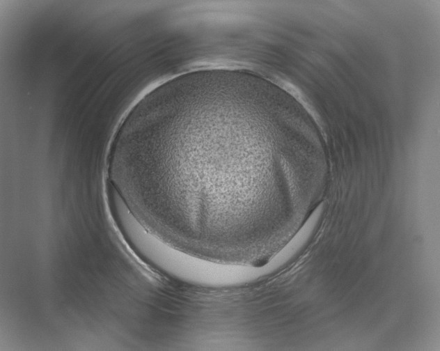 X0000075901187200609291724