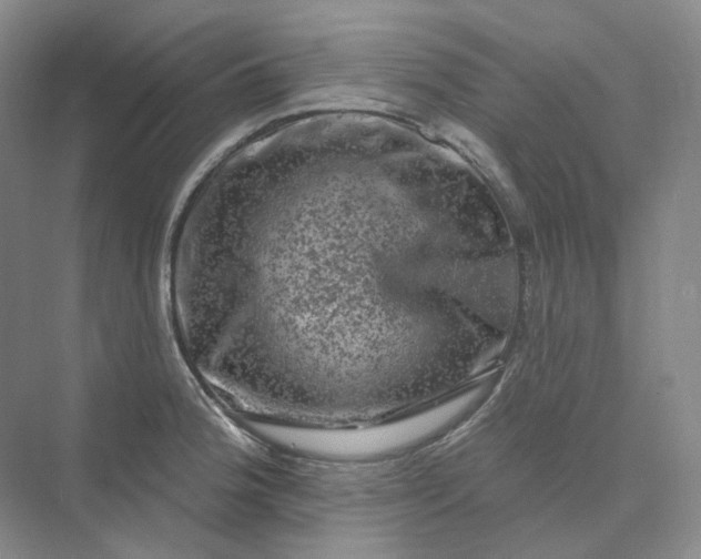 X0000075901188200609291724