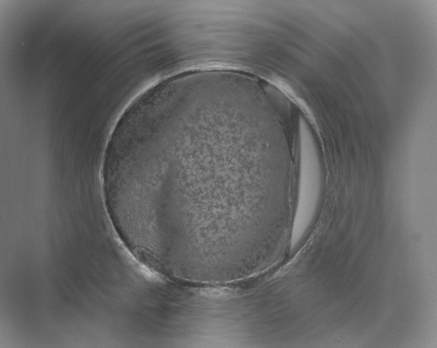 X0000075901189200609291724