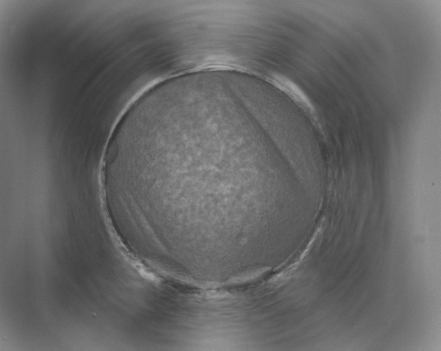 X0000075901190200609291724