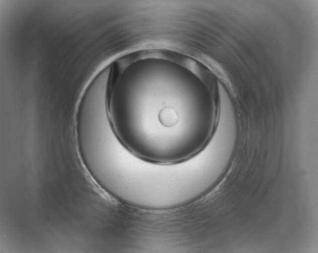 X0000075901192200609291724