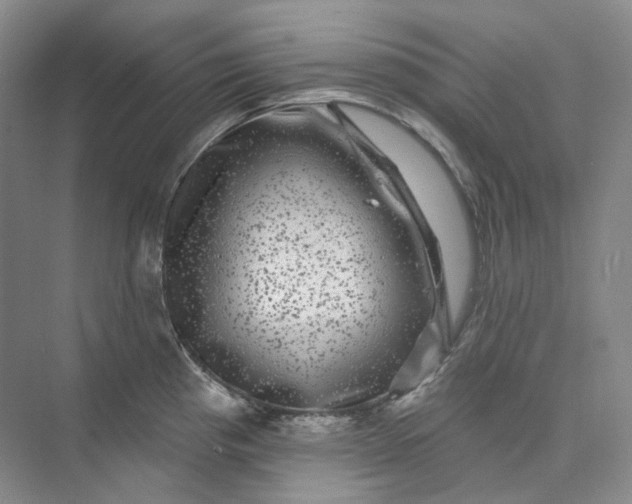 X0000075901193200609291724