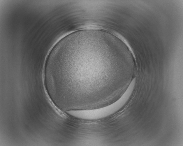 X0000075901195200609291724