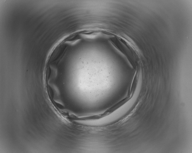 X0000075901196200609291724