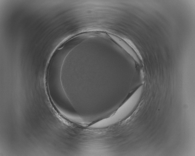 X0000075901197200609291724