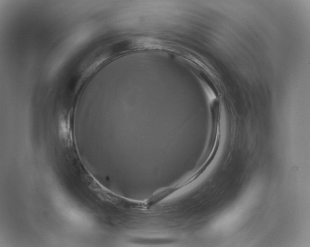 X0000075901198200609291724